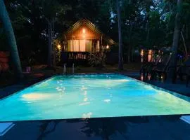 Coconut Tree House