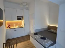 Delux apartment ARSO