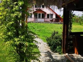 Family Mountain Cottage, villa in Cîrţişoara