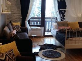 Visnja Apartment, three-star hotel in Kopaonik