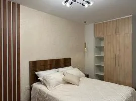 Elegant studio apartment A2