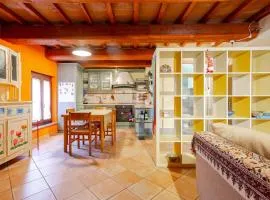 Filocase Pink Village House