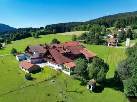 Hotel Hirschenstein