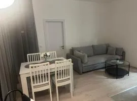 Apt1- Sokobanjica apartmani
