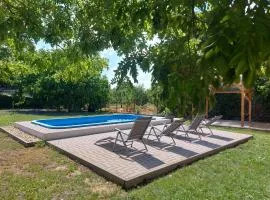 Szárcsa Apartman Sarud