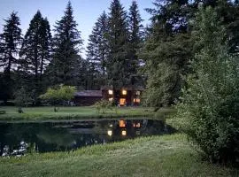4-Bedroom Cedar Creek Escape Chateau in Amboy WA Luxurious Retreat with Pond & Creek