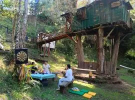Casa en el Arbol y Camping