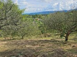 Hacienda tukuringa
