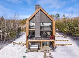 Le 70 Scandinavian chalet SPA and Pool Table