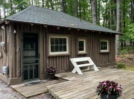 The Higgins Lake Hideaway - Super Cute!, khách sạn ở Higgins Lake
