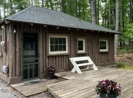 New! The Higgins Lake Hideaway - Super Cute!