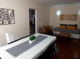 Pleno Centro Peatonal Hermoso y Luminoso Departamento