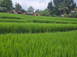 Uma Nirmala Aling-Aling, pousada em Singaraja