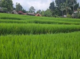 Uma Nirmala Aling-Aling