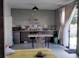 L Essentiel Studio climatisé 500m commerces et Voie Verte