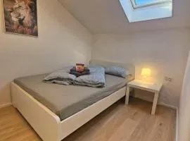 Old Town Modern Charm Apartment