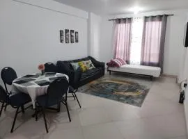Hermoso y cómodo departamento de 2 habitaciones, sala de estar, cocina y 2 baños