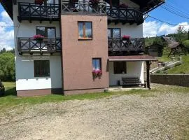 Guest House Stari Druzy