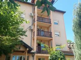 Vila Ramona Sokobanja