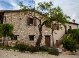 Il Giuggiolo - holiday homes