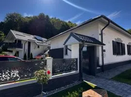 Vila Casa Din Vale - Valiug