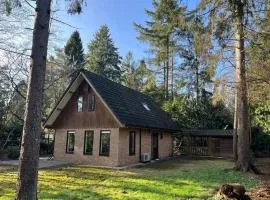 Forest house with sauna
