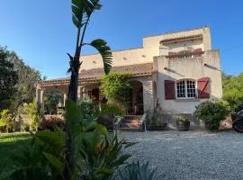 Libres 5 Chambres à Saint Florent Haute Corse Prix à débattre