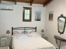 One room with double bed and bathroom and Garden