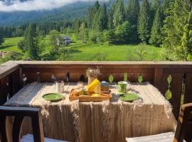 Picia Ciasa - Charming attic in paradise