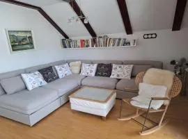 Apartment Luka