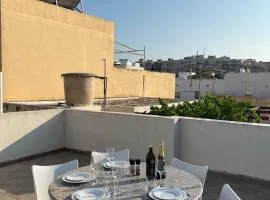 Spacious house with roof-terrace