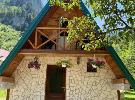 Guesthouse Stanisic, acomoda&ccedil;&atilde;o com cozinha em Dobrilovina