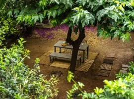 A Majestic Oasis in Keramikos, the Heart of Athens