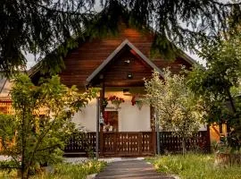 Casa Izvoru Mureșului