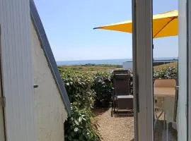 Magnifique vue mer Plage à 100m Piscine & Terrasse