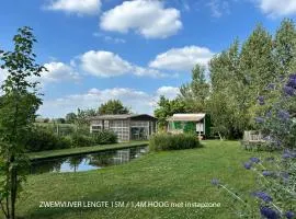Tiny house at the ecological swimming pool