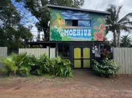 Moehiva Camping Rapa Nui