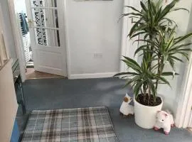 Shauna's house