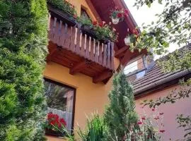 Pensiunea Lali Madaras Ciuc