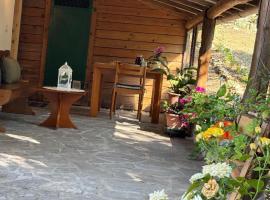 Cozy house in the Chianti region, villa in Castelnuovo Berardenga