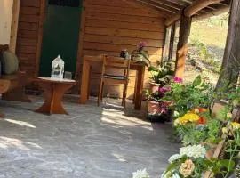 Cozy house in the Chianti region