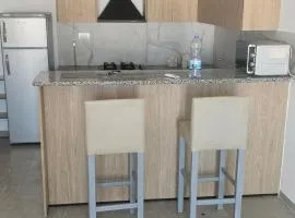 two-bedroom apartment with a living room, kitchen and balcony