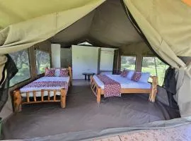 Wild Nest Mara camp