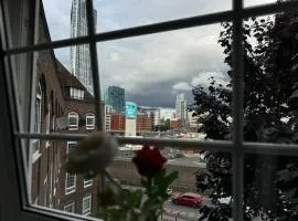 Lovely room in Bow - 3