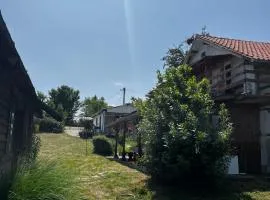 Kod Baka Olge