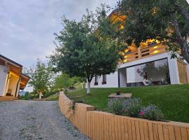 Casa Mara Viseu de Sus, Bed & Breakfast in Vişeu de Sus
