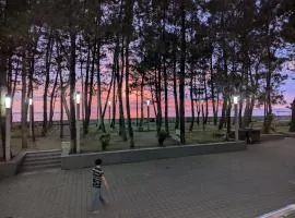 Panorama hotel kobuleti