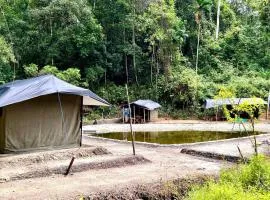 Sefia Cabanas - Kottawa