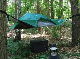Baumzelt mitten im Wald bis 180kg