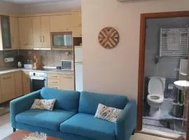 GH AXD quiet apartment with yard